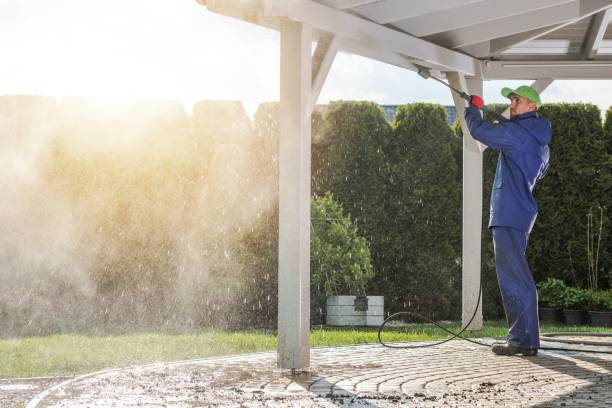 Best Driveway Cleaning and Restoration in Weber City, VA